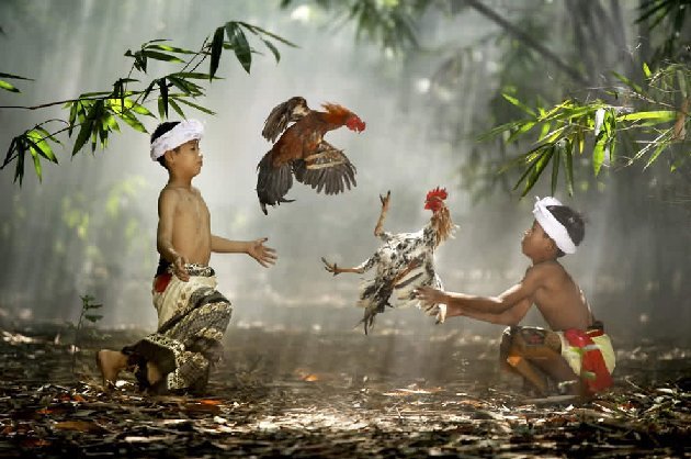 Slideshow image